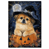 Pekingese Dog Witch Poster for Fall Home Decoration Artwork for Grandma's Farmhouse Décor on Ready to Hang 1.5" Thick Canvas Wrap, Floating Framed Canvas, Flat Rolled Canvas